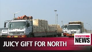 S. Korea sending Jeju tangerines to N. Korea in return for gift of pine mushrooms S. Korea sending Jeju tangerines to N. Korea in return for gift of pine mushrooms