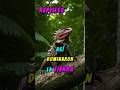 ¿Son inmortales? Su vida te asombrará 🤯 #Animales #Supervivencia #reptiles