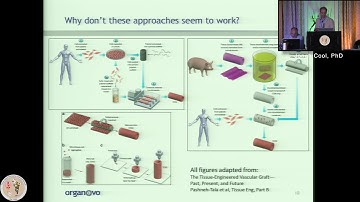 Tissue Engineering and 3D Bioprinting (Jonah Cool, PhD)