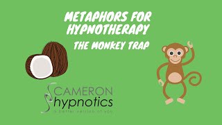Famous Monkey Trap - How to Catch Monkeys. A great metaphor for therapists Net Worth