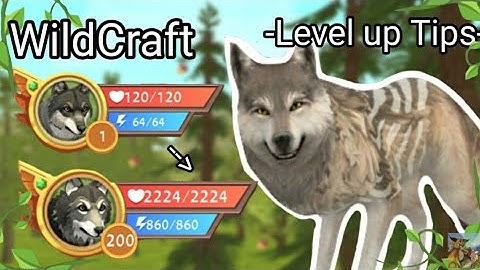 WildCraft -Level up Tips- How To Level up fast 🌿