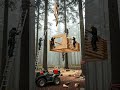 🌲 Suspended Treehouse Build — From Wild Forest to Cozy Log Cabin Hideaway #viral#trending #ytshorts