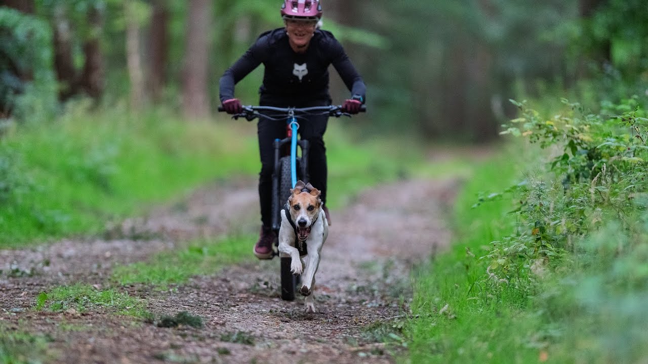 Bikejor training with Tim and Roscoe 🌲🐕🚵‍♀️❤️