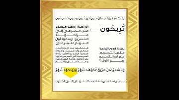 سورة النحل الآية 6 الحصري