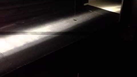 Fluid Mechanics in Action