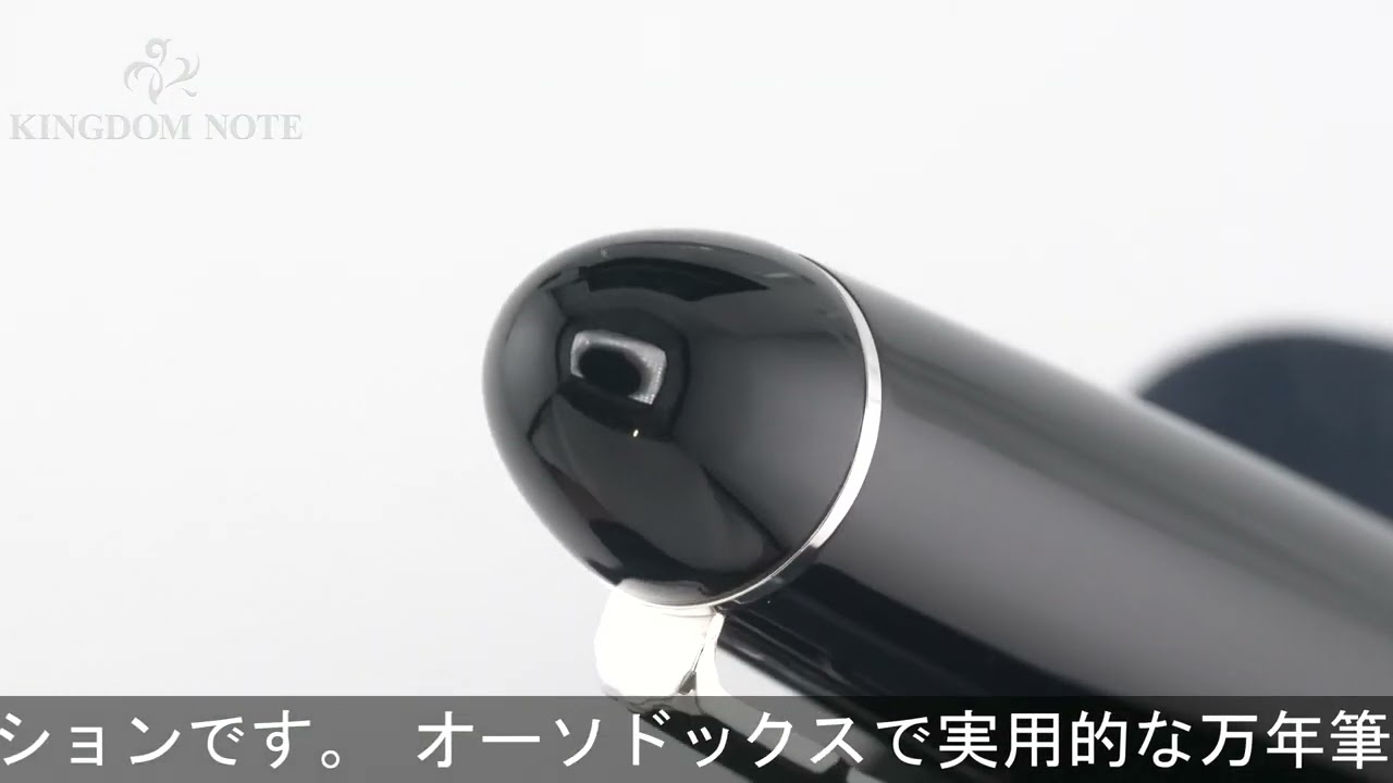 PLATINUM プラチナ 万年筆 プレジデント シルバートリム ブラック 細字
