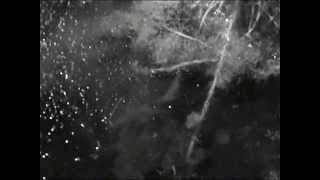 Kikkercam Bruine Kikker Amplex Onder Het Ijs