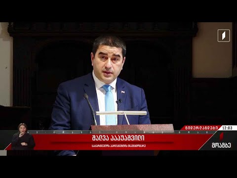 საპარლამენტო დელეგაციის ვიზიტი ნიდერლანდების სამეფოში