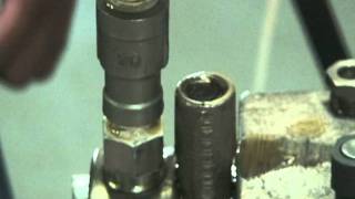 EV1 priming sequence