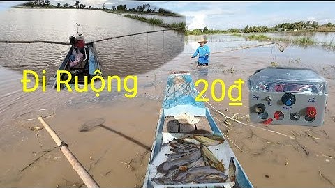 Test Máy Lạnh 20₫ Đẩy Côn Ruộng Cá Trê Vàng Trắng Mùa Nước Ngập