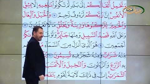 المفردات الصعبة - ٢٦٨ القسم ١- القارئ مازن الخالدي