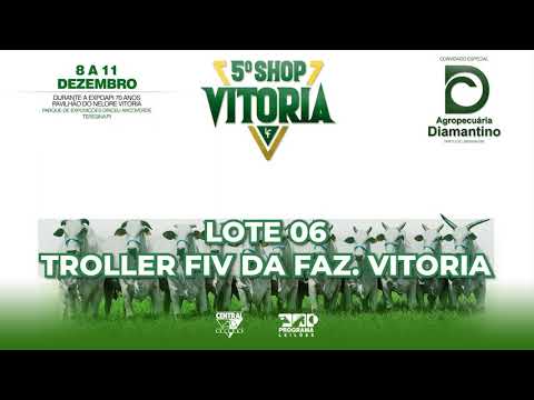 LOTE 06   LFFV 697