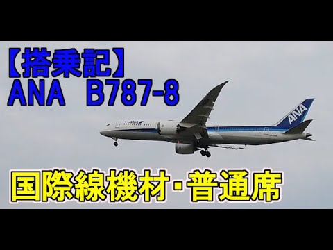 ボーイング787 ツナギ ボーイング787 作業着 ツナギ M-MK1-RO-150.1000.webp