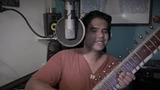 Can't Take My Eyes Off Of My Sitar screenshot 2