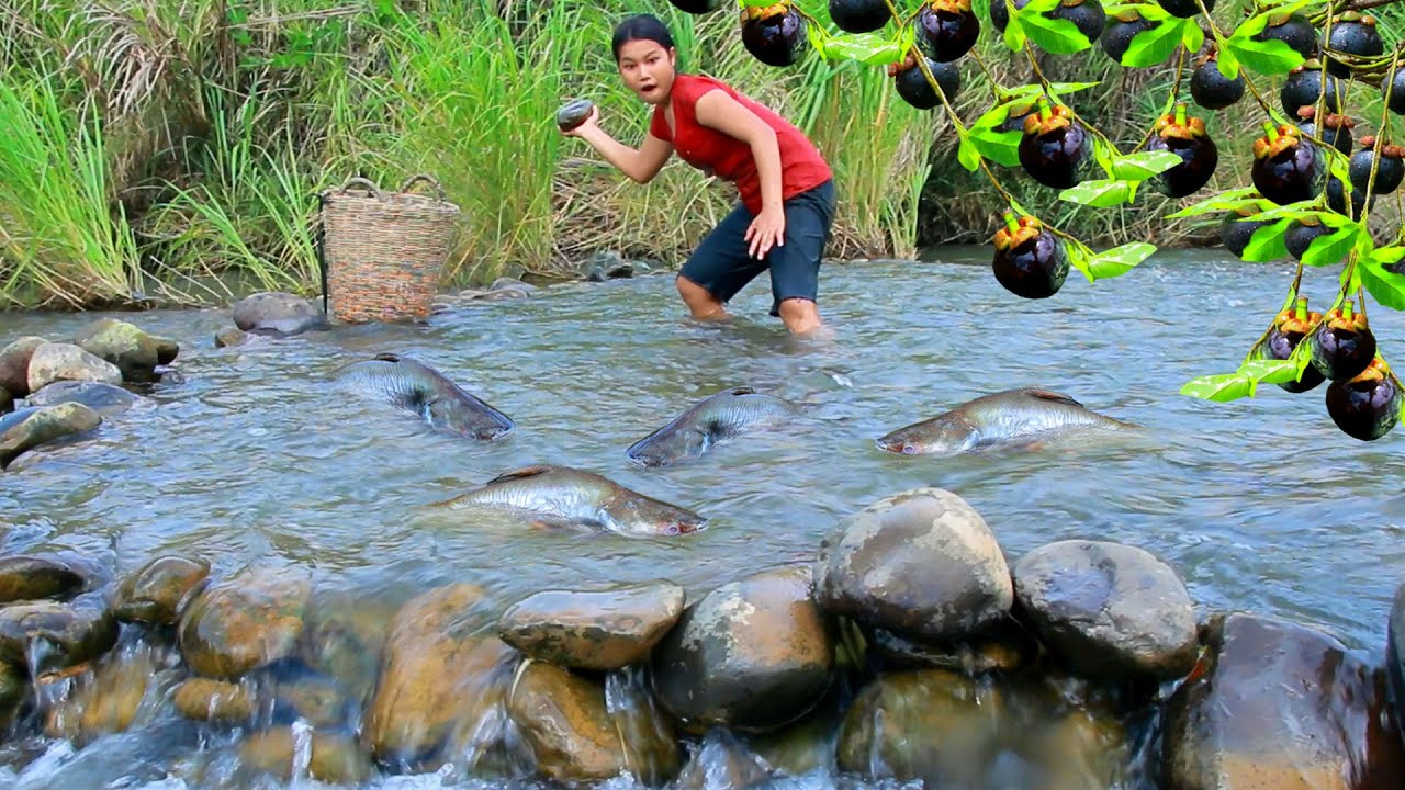 survival in forest - Women Build Fish Trap From Stone Catch Fish ...