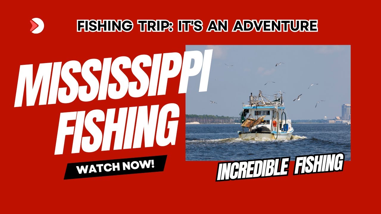 Mississippi Fishing Tips and Adventures You Can't Miss
