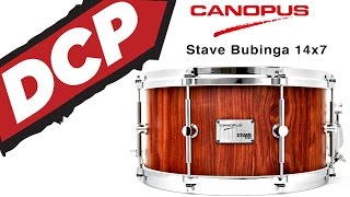 DCP Review: Canopus Stave Bubinga Snare Drum 7x14 // DCP Exclusive!