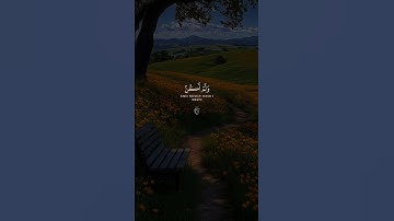 قران كريم راحة نفسية 🕊️❤️ #قرآن #اكسبلور #لايك