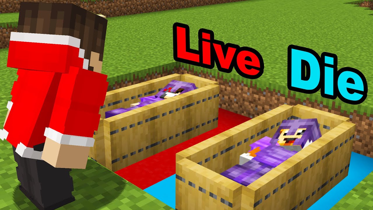 How I Tricked The Smartest Hardcore Minecraft Server...