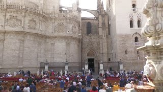 La Recogía: La Madrugá en la Catedral