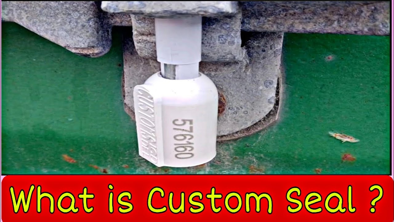 What is Custom Container Seal ?How many types of container seals are there? Import & Export