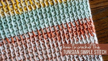Tunisian Simple Stitch Tutorial