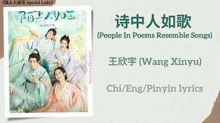 诗中人如歌 (People In Poems Resemble Songs) - 王欣宇 (Wang Xinyu)《陌上人如玉 Special Lady》Chi/Eng/Pinyin lyrics