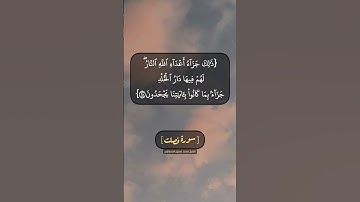 سورة فصلت الآية ٢٦ الى ٢٩ بصوت الشيخ محمد صديق المنشاوي