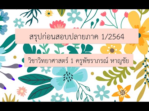 สรุปก่อนสอบปลายภาควิชาวิทยาศาสตร์ ม.1 (ครูพัชราภรณ์)