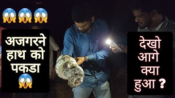 Indian Rock Python Rescue and Released | Big Rock Python Attack|