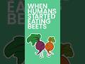 When Humans Started Eating Beets  #shorts