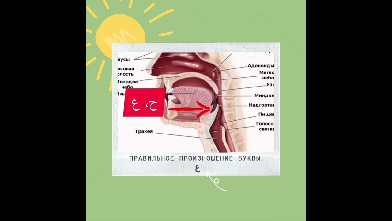 Правильное произношение по фото