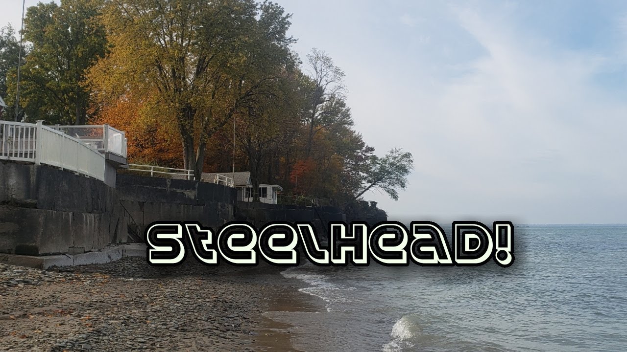 Early Season Lake Erie Steelhead Fishing