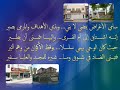 أبيات مهداة إلى معهد اللغة العربية ومديره الأستاذ محمد بشير