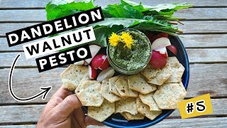 Wild Edibles Test Kitchen: Dandelion Walnut Pesto