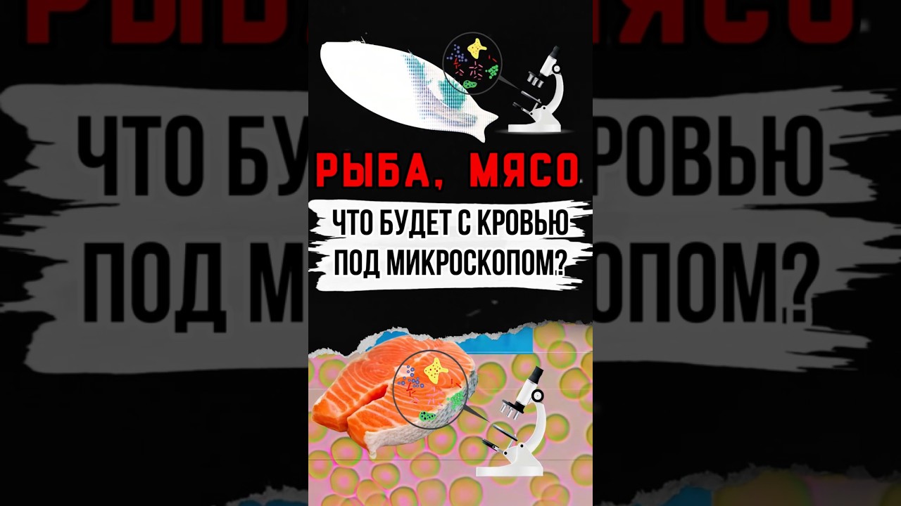 Кровь под микроскопом после рыбы 