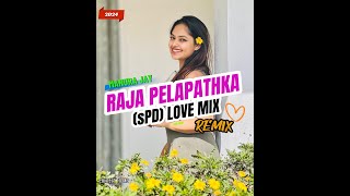 Raja Pelapathaka (Tik Tok) Cover 2D24 Love SpD Mix Dj Remix - DreamVersion