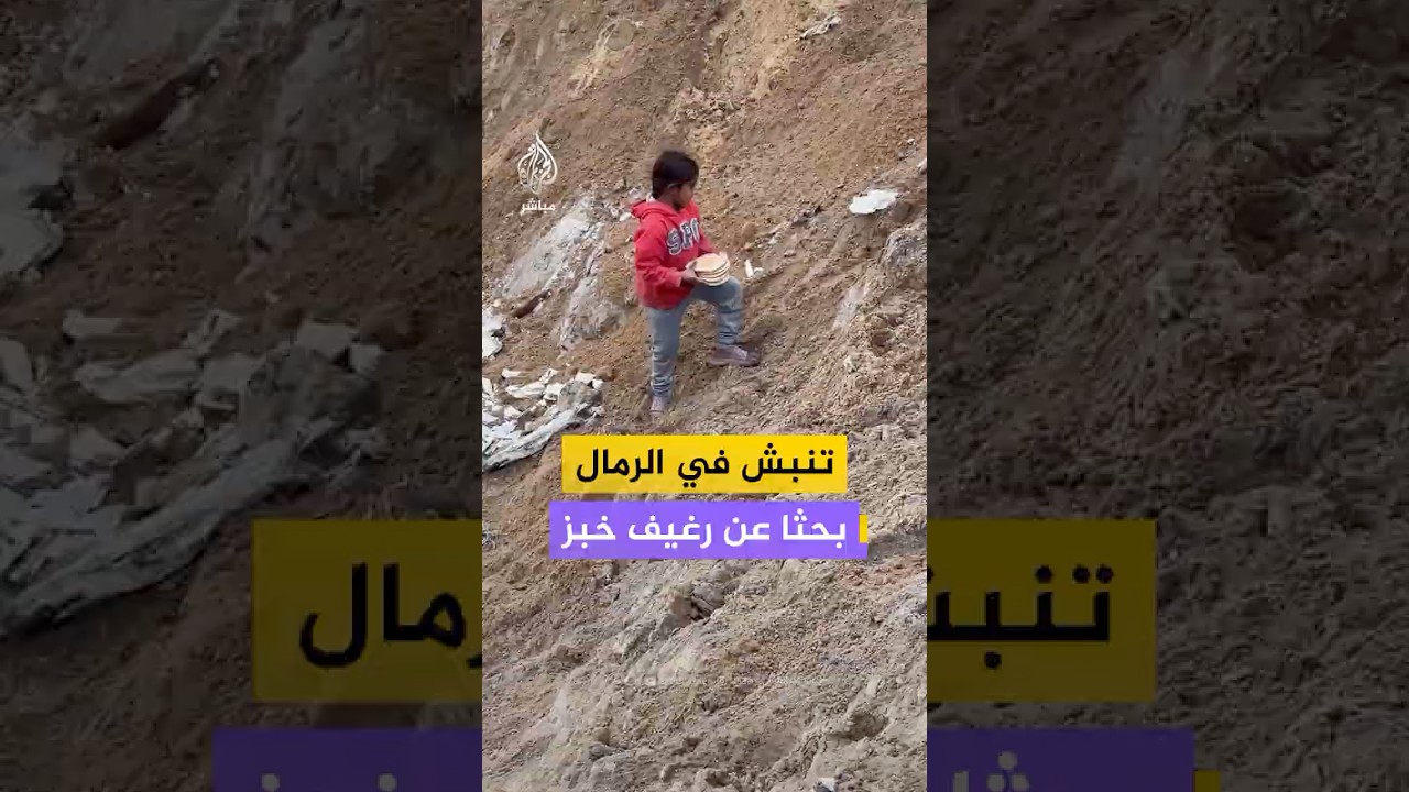 لقطات مؤلمة لطفلة فلسطينية تجمع أرغفة الخبز من الرمال في مخيم الشاطئ بقطاع غزة