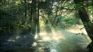 Musik Ketenangan Hati Dan Pikiran 7 Relaxing shorts