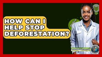 How Can I Help Stop Deforestation? - Earth Science Answers