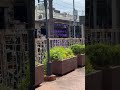 こやさんテレビ　柴又駅裏側からのんびり風景をお送りします！#️⃣こやさんテレビ#️⃣旅行アナリスト#️⃣柴又帝釈天#️⃣寅さん#️⃣男はつらいよ！#️⃣鉄道ファン