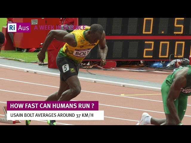 How Fast Can Humans Run? And How to Be a Faster Runner