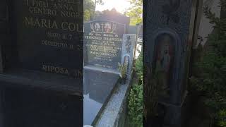 1 Year of Nonna's passing, straight from the funeral of cousin David Colangelo. Profile