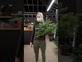 Oh Tannenbaum, ohhh Tannenbaum…🎶🌲😅