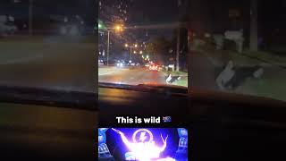 IMG 1500