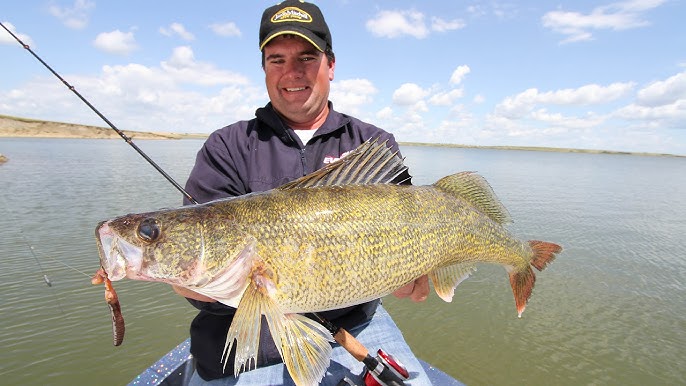 GUARANTEED Spinner Tips to Catch More Walleyes! (Bottom Bouncing 101) 