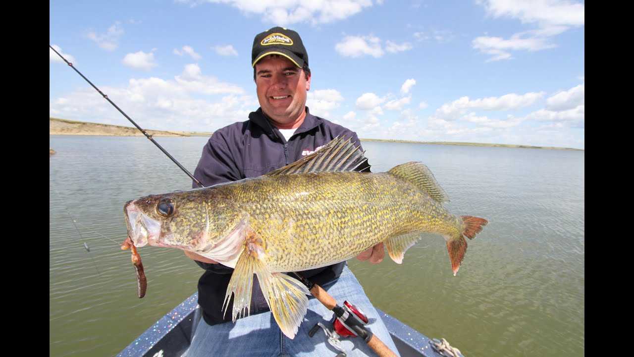 Bottom Bouncers for Walleyes 