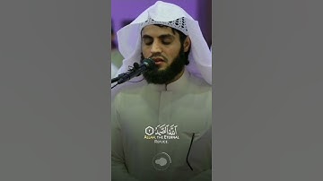 سورة الإخلاص 💛 القارئ : رعد الكردي 💛 حالات واتس آب 💛