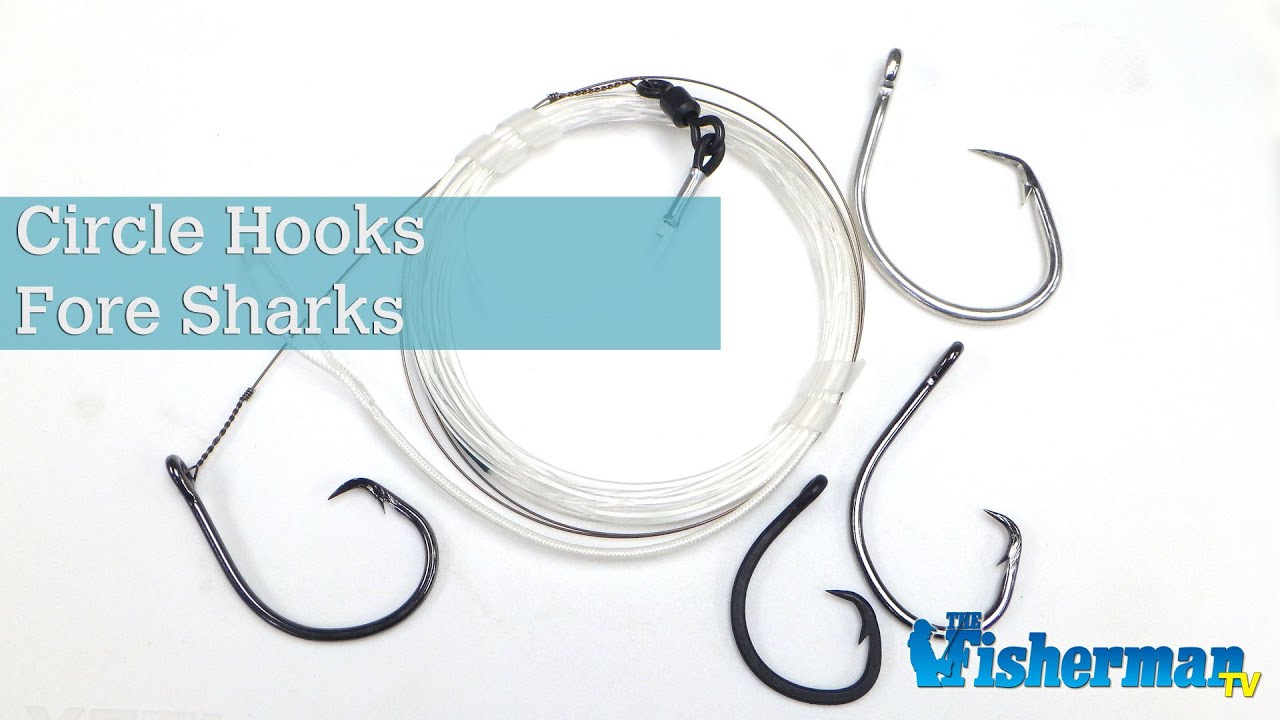 best circle fish hooks Hangry Hooks , Straight Shank, Circle Hook for Trophy Catfish