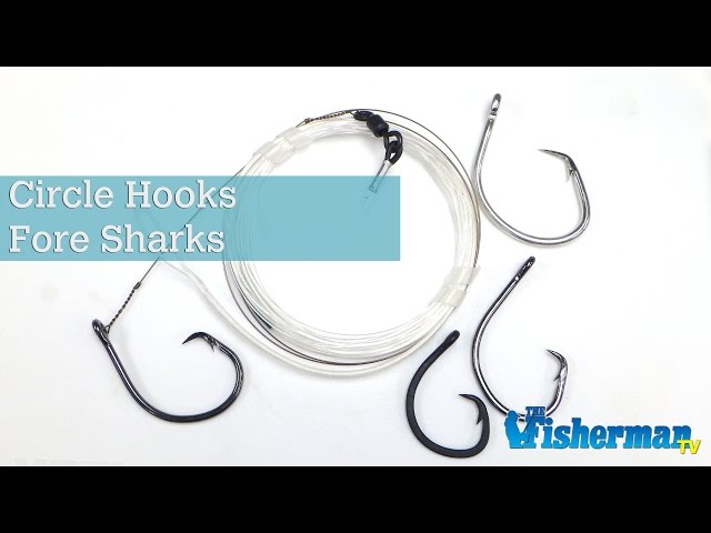 false hook channel fishing report 6 Tips to Catch More False Albacore